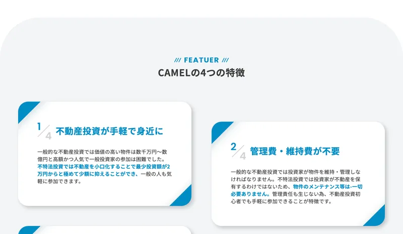 CAMELの特徴詳細。海外不動産への投資ができることを説明している