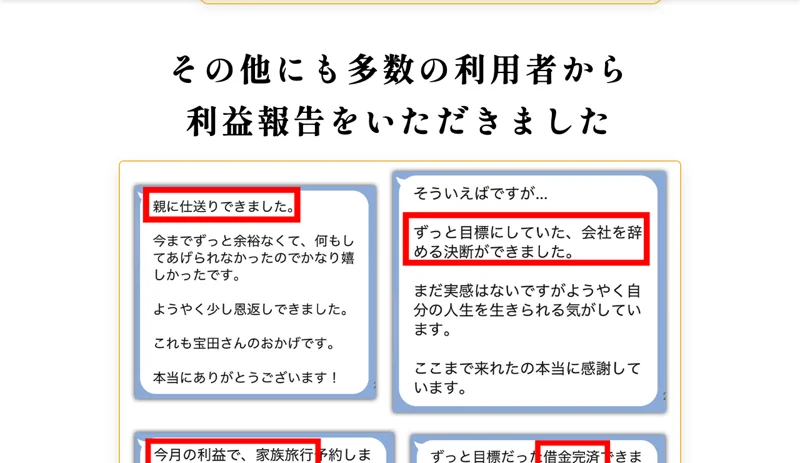 IREGUI PROJECTの広告に掲載されている利用者の声