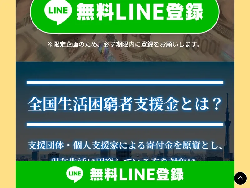 国際ボランティア支援財団の詐欺サイトの画面