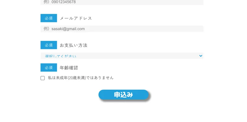 合同会社リストの申込みフォーム。支払い方法に「銀行振込(30日後払い)」と表示されている