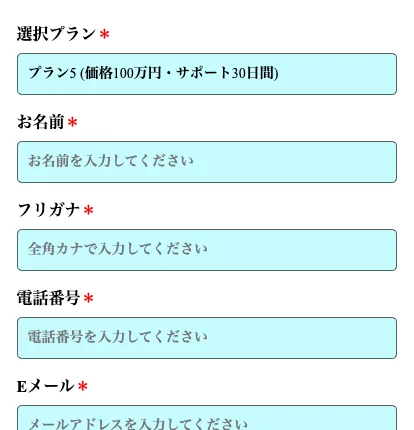 選択プランにプラン5（価格100万円・サポート30日間）と表示された申し込みフォーム