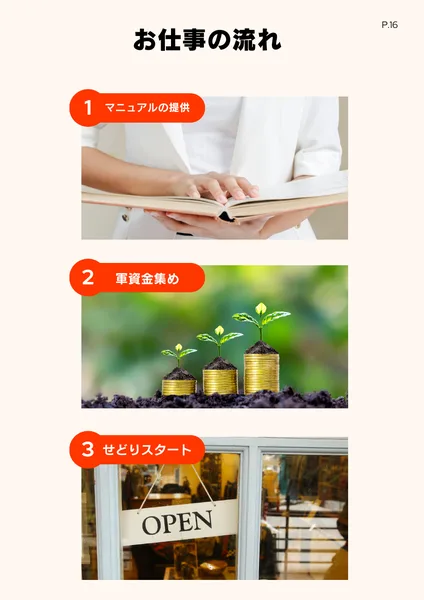 SUN VISTA TRADINGの副業の流れ。マニュアル提供、軍資金集め、せどりスタートと書かれた説明ページ