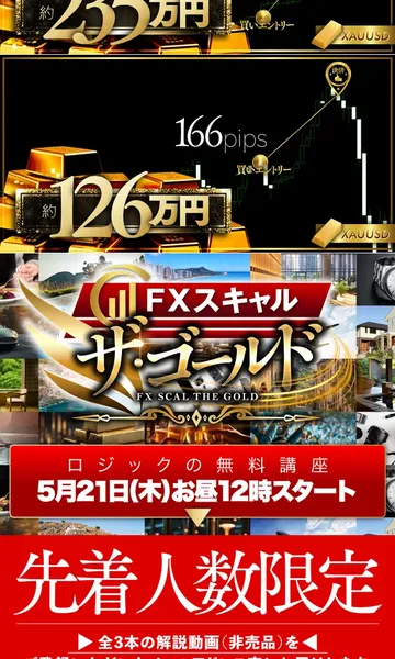 ザ・ゴールドの広告で攻略パターンAでたった数ヶ月で2699万円、攻略パターンBでたった1ヶ月で981万円の利益と損益計を表示している