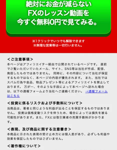 広告ページ末尾にある、利益や効果を保証したものではないという注意書き
